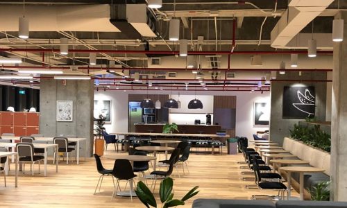 Arbo-SAS-diseño-Oficinas-Corporativas_WEWORK_1