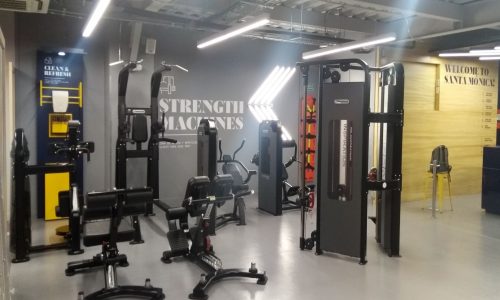 Arbo-SAS-diseño-gimnasio F2_1